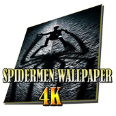 Best Spidermen Wallpaper أيقونة