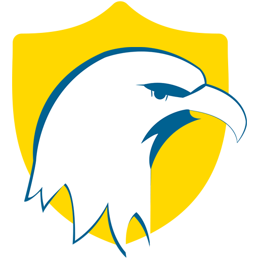 KingBirdVpn / King Bird VPN / KBVPN / zahintelvpn icon