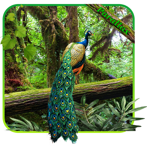 Peacock APUS Live Wallpaper icon