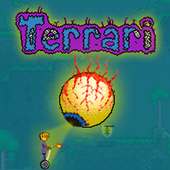 Terraria The Boss