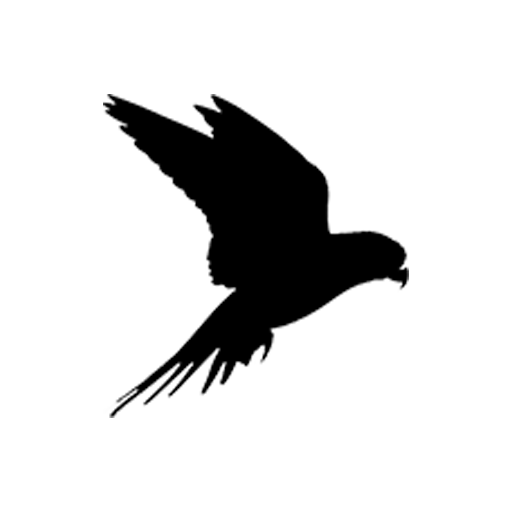 KICO Bird Audio Mastery icon