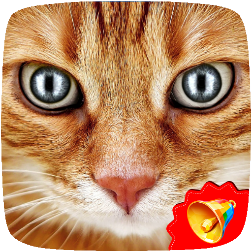 Cat Sounds icon