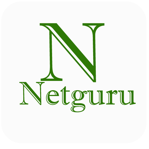 Netguru VPN icon