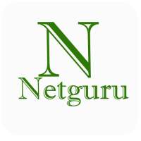 Netguru VPN