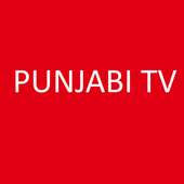 Punjabi TV