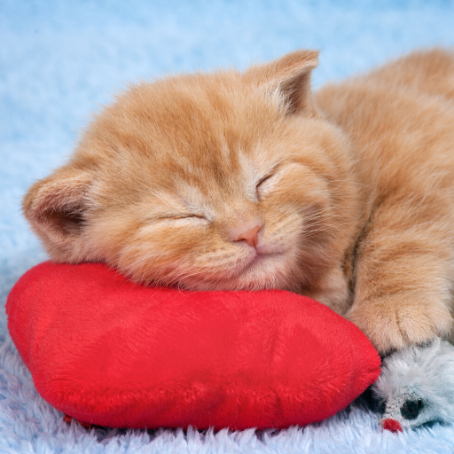 Música para dormir y meditar иконка