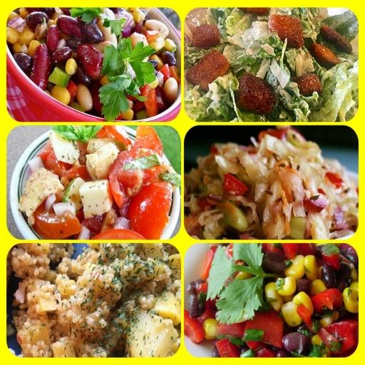 Salad Recipes Offline App icon