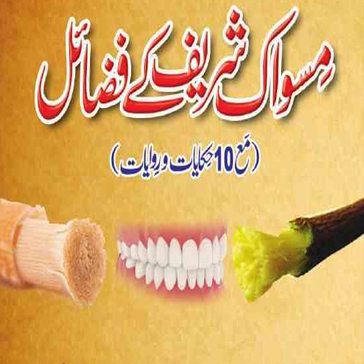 miswak kay fazail urdu icon