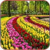 HD  Beautiful Garden Wallpapers icon