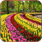 HD  Beautiful Garden Wallpapers on 9Apps