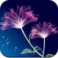 Glowing Wallpaper 4K on 9Apps