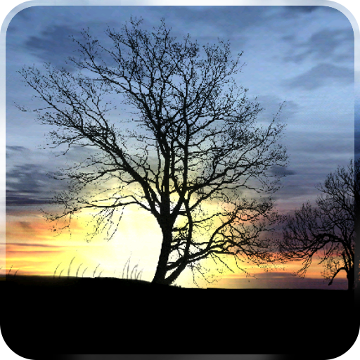 Silhouette Free Live Wallpaper icon