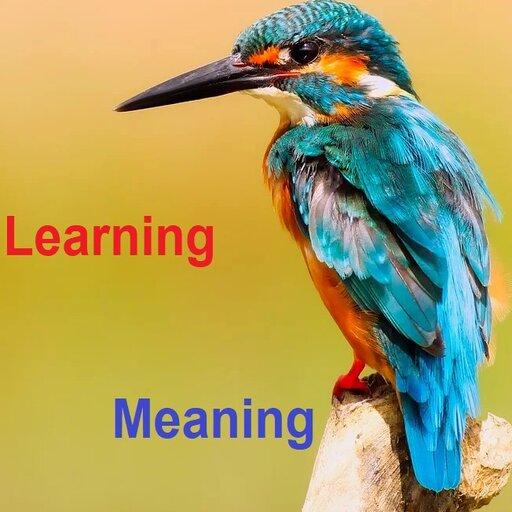 Learning Animals Fruits Vegetables Birds Meaning icon