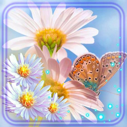 Camomiles Flowers icon