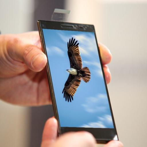 Bird Eagle Wallpaper icon