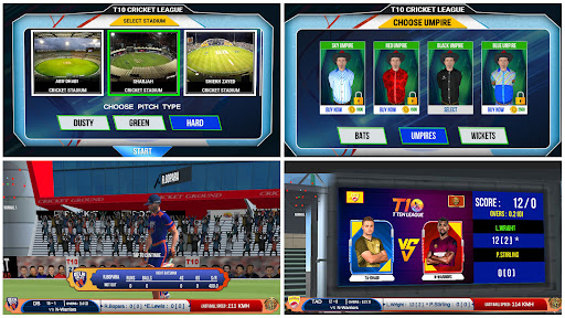 T10 League Cricket Game screenshot 6