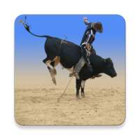 Learn Bull Riding on 9Apps