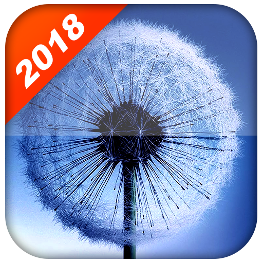 Dandelion Live Wallpaper (HD Background) icon
