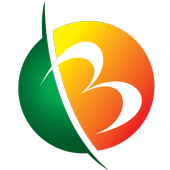 Bengal TV icon