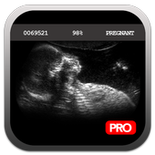 Pregnancy Test Simulator icon