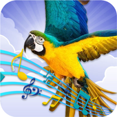 Birds Sounds icon