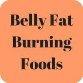 Belly Fat Burning Foods on 9Apps