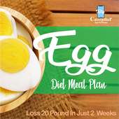 Egg Diet Plan on 9Apps