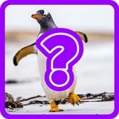 Guess the Animal Quiz icon
