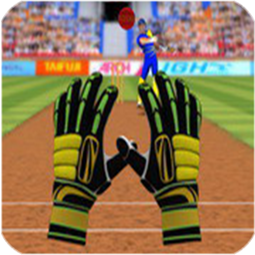 cricket games 2018, real cricket, turbo cricket icon