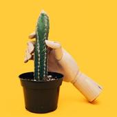 Kamasutra Sex Move - 69 Positions icon