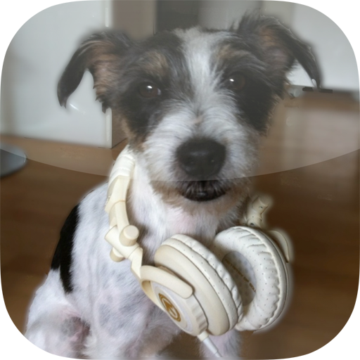 Flash the dog أيقونة