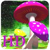 Mushroom Wallpaper on 9Apps