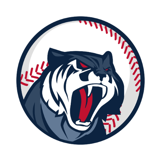 Astonishing Baseball Manager 2019 icon