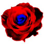 Sad Shadows Live Wallpaper icon