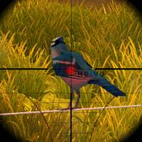 Real Bird hunting 3D