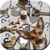 Ask Funny Animals icon