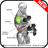 fitness trainning tutorials icon