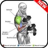 fitness trainning tutorials