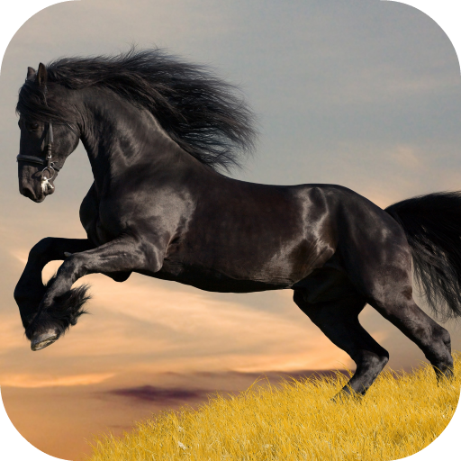 Mustang Live Wallpaper (FREE) icon