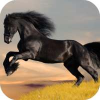 Mustang Live Wallpaper (FREE)