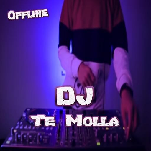 DJ Te Molla offline New icon