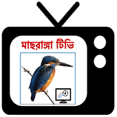 machranga tv live icon