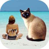 Cut Paste Photos on 9Apps