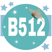 B512 Best Selfie-Edit-Share icon