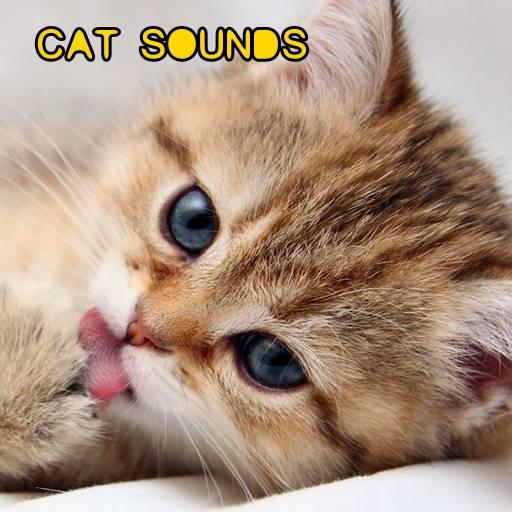 Cat Sounds icon