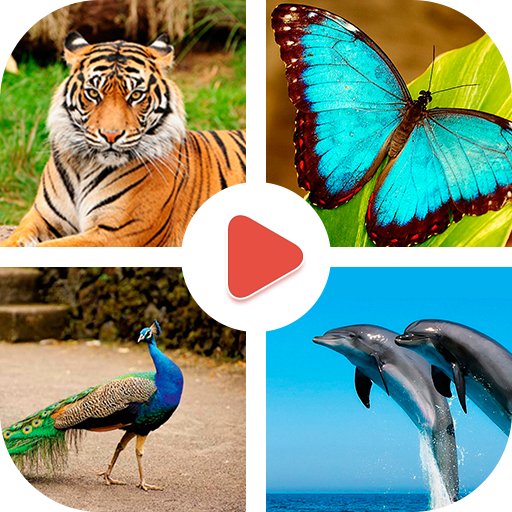 Animals Learning - Animals for Kids icon