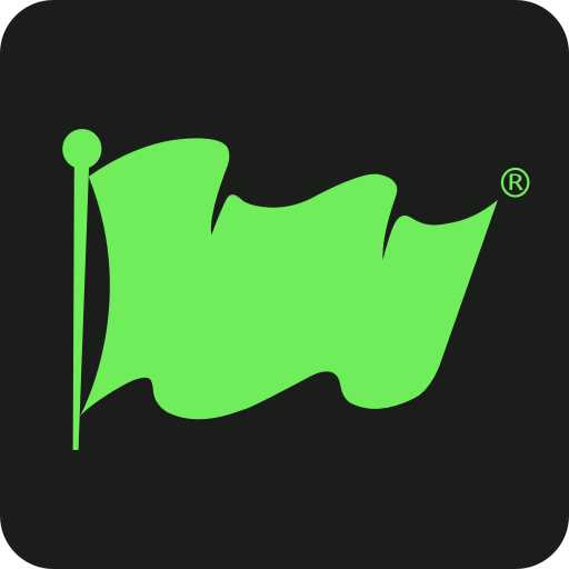 Green Flag icon