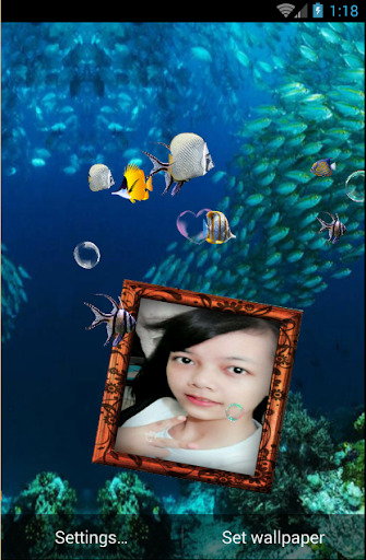 Photo Aquarium Live Wallpaper screenshot 4