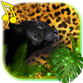 Panthers live wallpaper icon