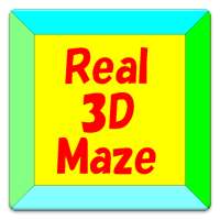 Escape! Real 3D Maze